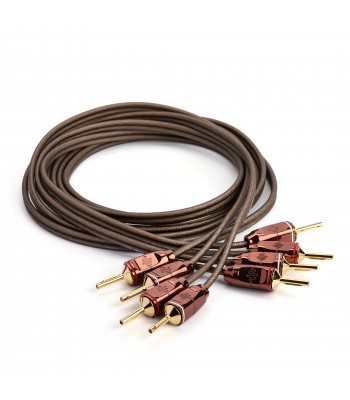 Essentials Prime Special Speaker Cable